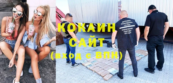 шишки Лабытнанги