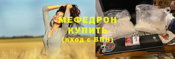 шишки Лабытнанги