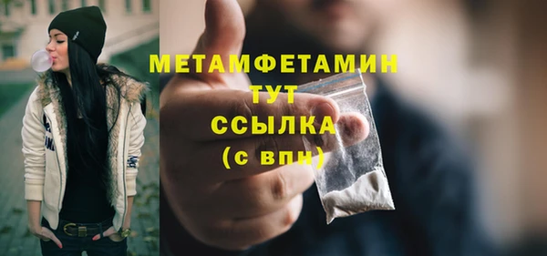 шишки Лабытнанги