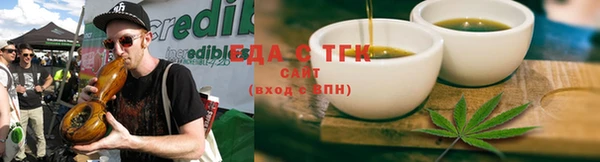 шишки Лабытнанги