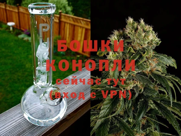 эйфоретик Ладушкин
