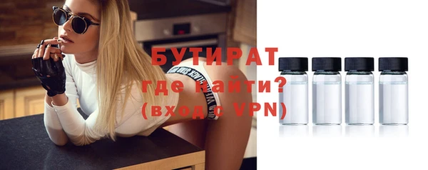 шишки Лабытнанги