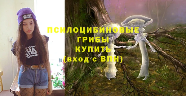 эйфоретик Ладушкин
