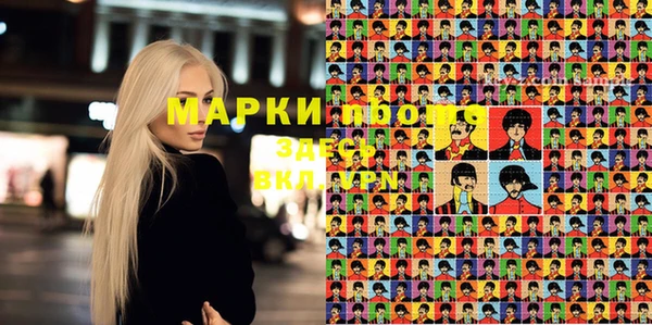 шишки Лабытнанги