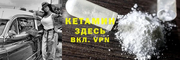 шишки Лабытнанги