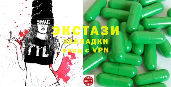 шишки Лабытнанги