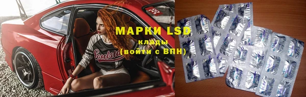 шишки Лабытнанги