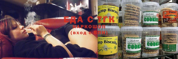 шишки Лабытнанги