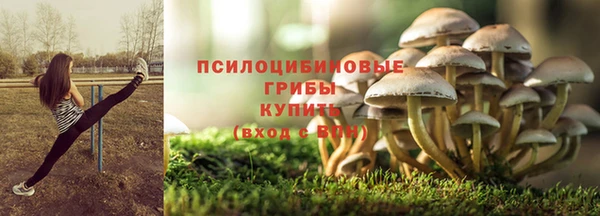 эйфоретик Ладушкин