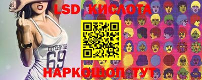 прущие крисы Будённовск