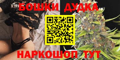 крисы Бузулук