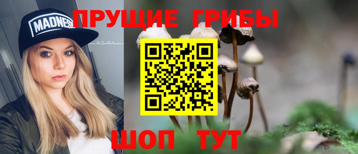 Великий Новгород  Галлюциногенные грибы мухоморы  Вход с VPN 